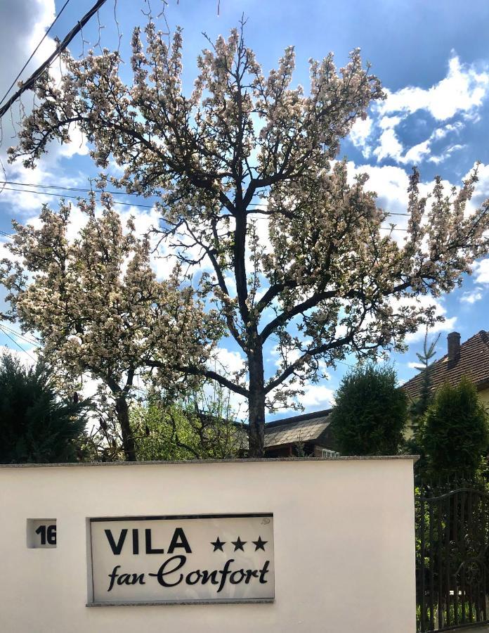 Vila Fan Confort Viseu de Sus Luaran gambar