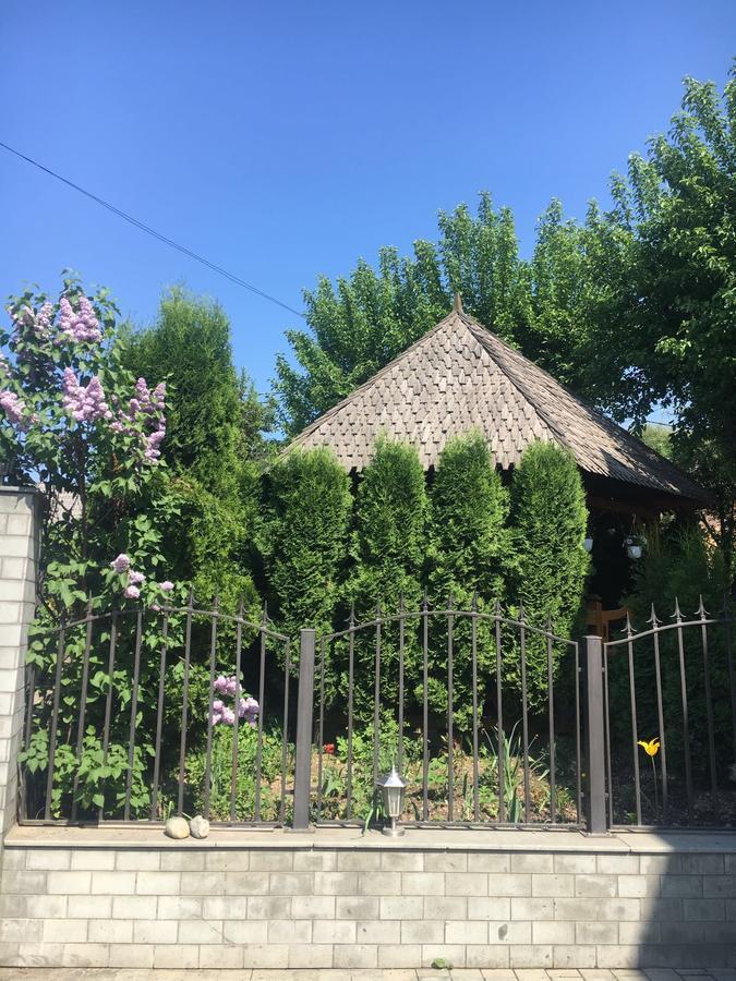 Vila Fan Confort Viseu de Sus Luaran gambar